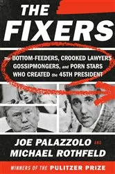 Book cover of The Fixers by Julia Rabig