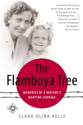 Book cover of The Flamboya Tree by Clara Kelly
