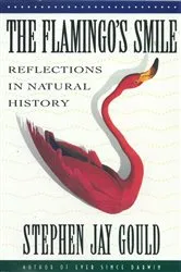 Book cover of The Flamingo's Smile: Reflections in Natural History by Unknown