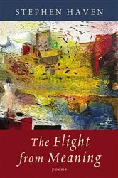 Book cover of The Flight from Meaning by Haven Stephen