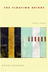 Book cover of The Floating Bridge by David Shumate