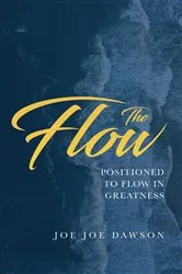 Book cover of The Flow by Joe Joe Dawson