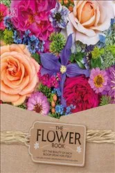 Book cover of The Flower Book by Rachel Siegfried