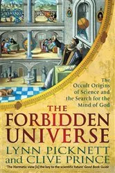 Book cover of The Forbidden Universe by Lynn Picknett
