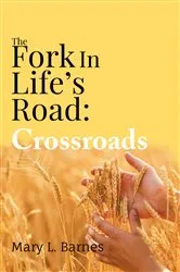 Book cover of The Fork In Life's Road by Barnes, Mary, L