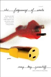 Book cover of The Frequency of Souls by Unknown