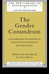 Book cover of The Gender Conundrum by Dana Birksted-Breen