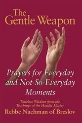 Book cover of The Gentle Weapon by Moshe Mykoff