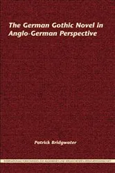 Book cover of The German Gothic Novel in Anglo-German Perspective by Patrick Bridgwater