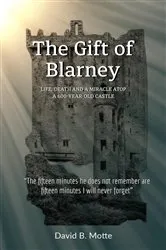 Book cover of The Gift of Blarney by David B Motte