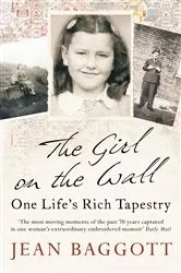 Book cover of The Girl on the Wall by Jean Baggott