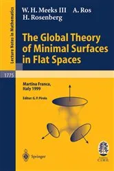 Book cover of The Global Theory of Minimal Surfaces in Flat Spaces by W.H. III Meeks