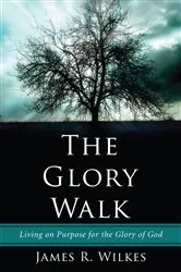 Book cover of The Glory Walk by James R. Wilkes