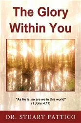 Book cover of The Glory Within You by Dr Stuart Pattico