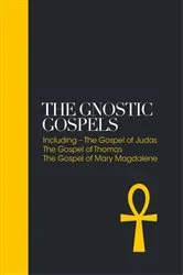 Book cover of The Gnostic Gospels by Alan Jacobs