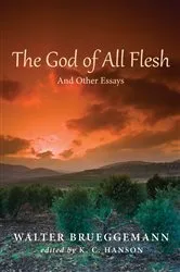 Book cover of The God of All Flesh by Walter Brueggemann
