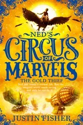 Book cover of The Gold Thief by Justin Fisher