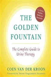Book cover of The Golden Fountain by Coen van der Kroon