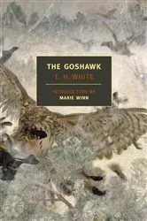 Book cover of The Goshawk by T.H. White