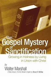 Book cover of The Gospel Mystery of Sanctification by Unknown