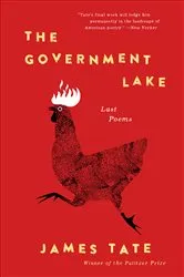 Book cover of The Government Lake by James Tate
