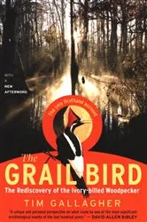 Book cover of The Grail Bird by Tim Gallagher