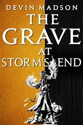 Book cover of The Grave at Storm's End by Devin Madson