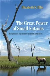 Book cover of The Great Power of Small Nations by Elizabeth N. Ellis