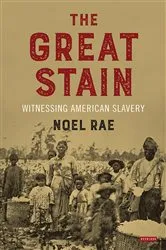 Book cover of The Great Stain by Noel Rae