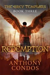 Book cover of The Grey Templars by Anthony Condos