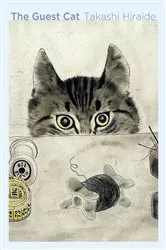 Book cover of The Guest Cat by N/A