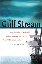 Book cover of The Gulf Stream by Stan Ulanski
