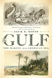 Book cover of The Gulf: The Making of An American Sea by Jack E. Davis