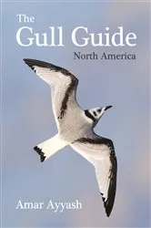 Book cover of The Gull Guide by Amar Ayyash