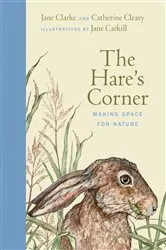Book cover of The Hare's Corner by Jane Clarke