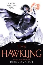 Book cover of The Hawkling by Rebecca Zahabi