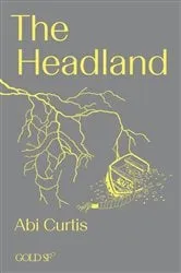 Book cover of The Headland by Abi Curtis