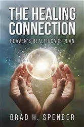 Book cover of The Healing Connection by Drew Remignanti
