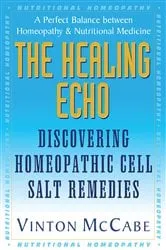 Book cover of The Healing Echo by Vinton McCabe