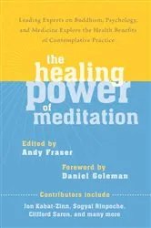 Book cover of The Healing Power of Meditation by Gabriel S. Weiss
