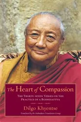 Book cover of The Heart of Compassion by Dilgo Khyentse