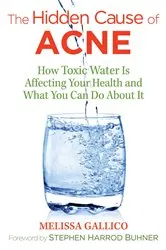 Book cover of The Hidden Cause of Acne (2nd ed.) by Melissa Gallico