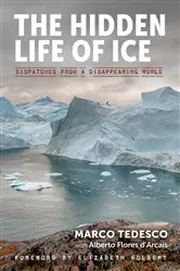 Book cover of The Hidden Life of Ice: Dispatches from a Disappearing World by Alberto Flores d'Arcais