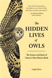 Book cover of The Hidden Lives of Owls by Leigh Calvez
