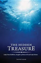 Book cover of The Hidden Treasure by Jaffer Ladak