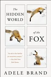 Book cover of The Hidden World of the Fox by Adele Brand