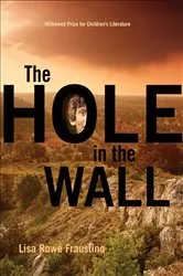 Book cover of The Hole in the Wall by Lisa Rowe Fraustino