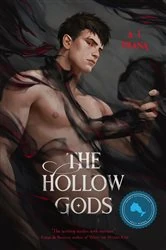 Book cover of The Hollow Gods by A. J. Vrana