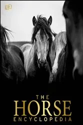 Book cover of The Horse Encyclopedia by Elwyn Hartley Edwards