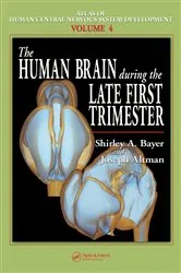 Book cover of The Human Brain During the Late First Trimester by Shirley A. Bayer